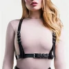 stylec-1pcs